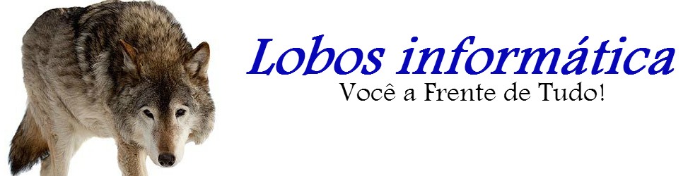 Lobos Informática